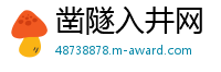 凿隧入井网